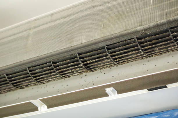 Air Duct Mold Removal in Anthony, TX
