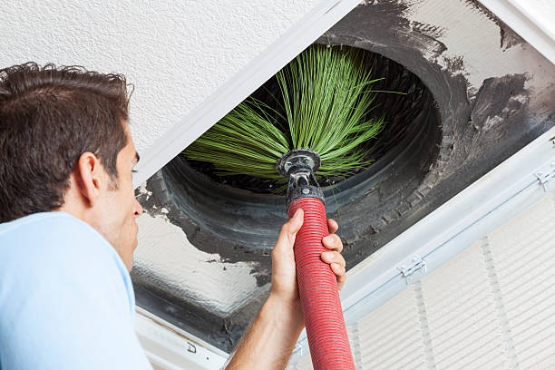 Best Air Duct Mold Removal  in Anthony, TX